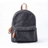 Washable travel backpack bag customize possible in fashion style